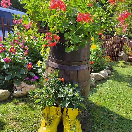 Gospodarstwo wiejskie Mali Raj Rudnik