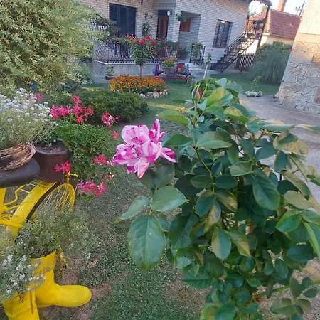Mali Raj