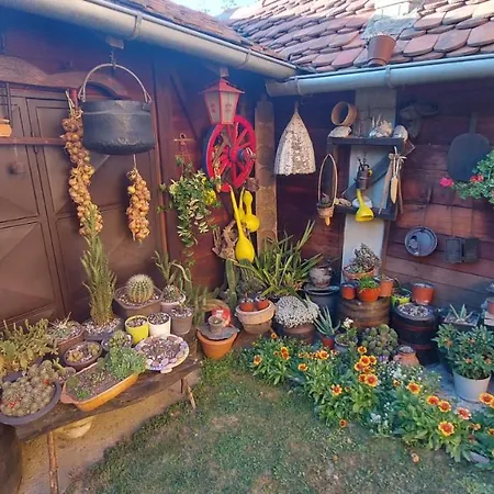 Gospodarstwo wiejskie Mali Raj Rudnik