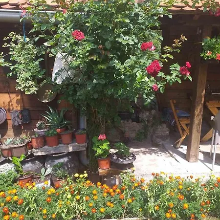 Mali Raj Gospodarstwo wiejskie