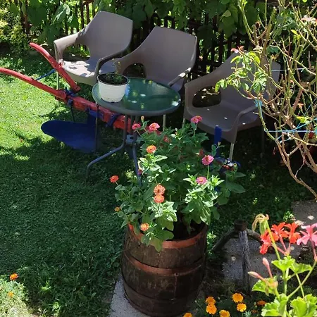 Gospodarstwo wiejskie Mali Raj *