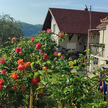 Mali Raj Gospodarstwo wiejskie Rudnik