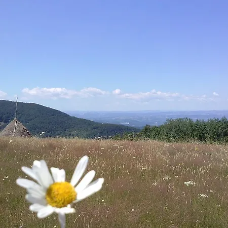 Lantställe Mali Raj *