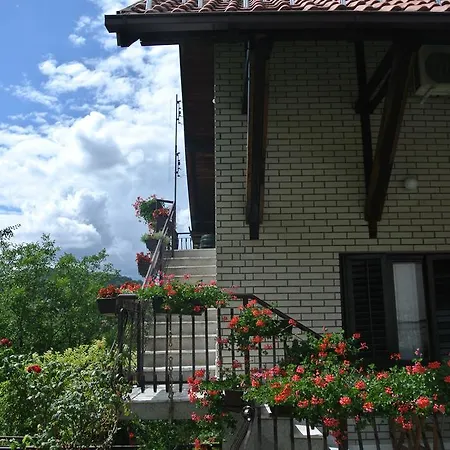 Mali Raj Gospodarstwo wiejskie Rudnik