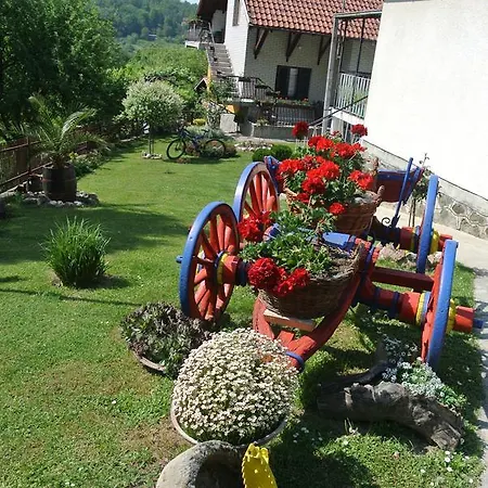 Mali Raj Gospodarstwo wiejskie Rudnik