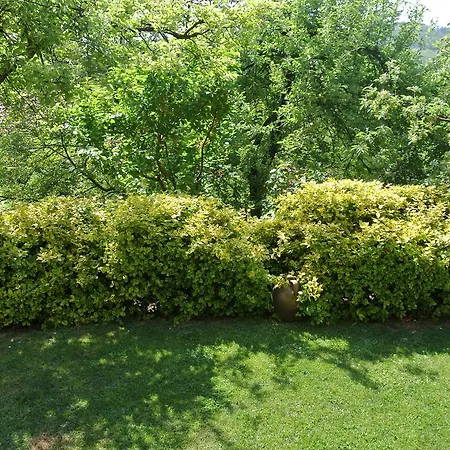 Mali Raj Gospodarstwo wiejskie