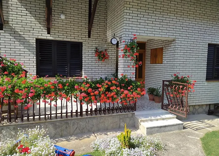 Mali Raj Lantställe Rudnik