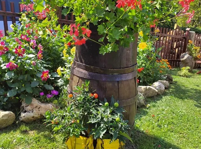 Lantställe Mali Raj Rudnik