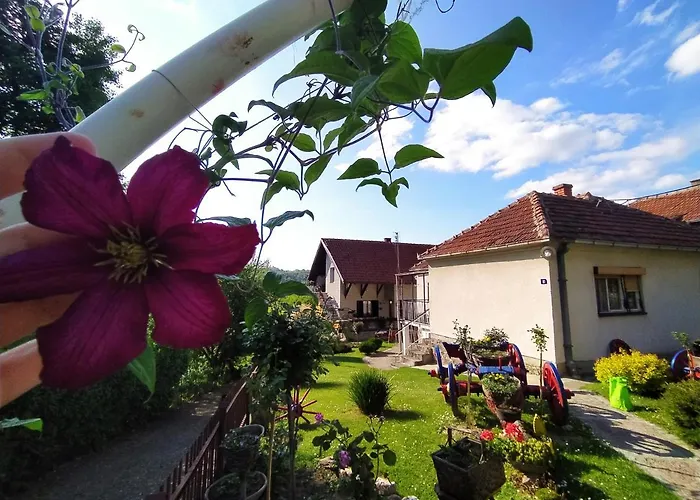 Mali Raj Lantställe