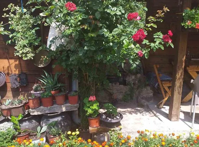 Mali Raj Lantställe