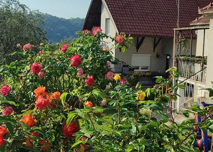 Mali Raj Lantställe Rudnik