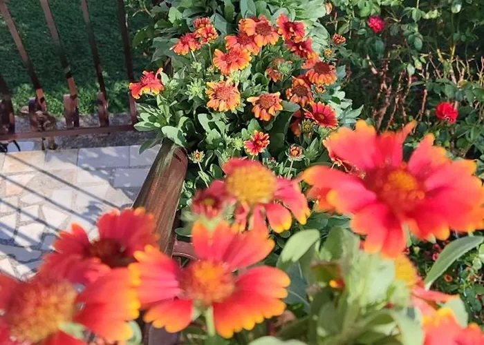 Mali Raj Lantställe *