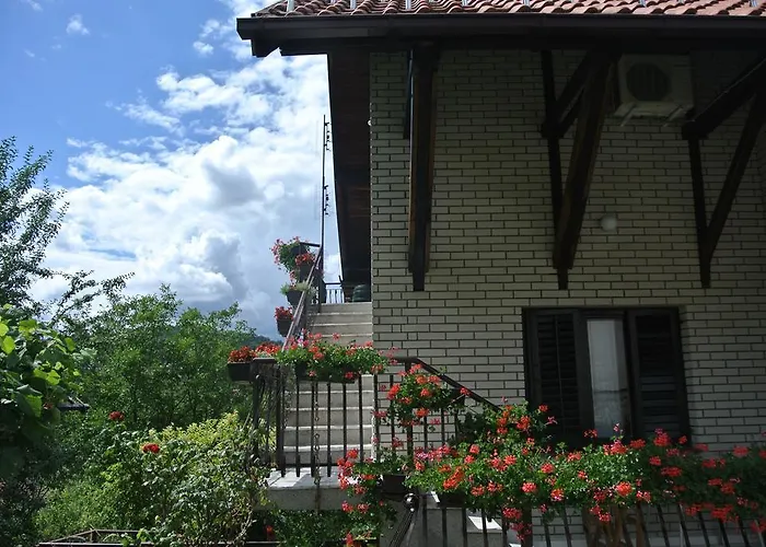 Mali Raj Lantställe Rudnik