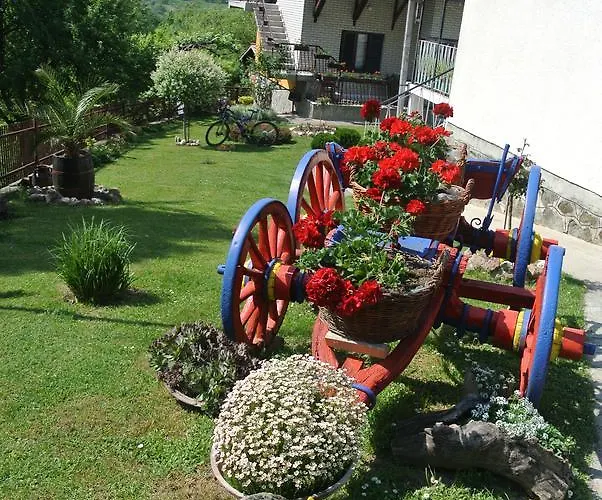 Mali Raj Lantställe Rudnik