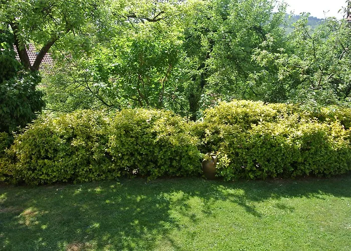 Mali Raj Lantställe